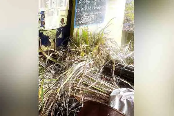 Continued mess in Pongal gift supply in rations