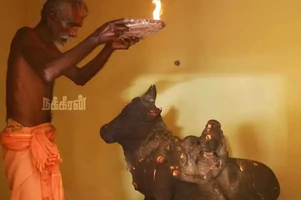 Madurai district vikkiramangkal mela soukkaanpatti jallikattu