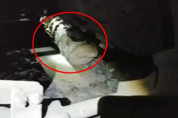 piece of wood in Avadi train track  
