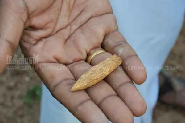Ancient bone tool found in the fort!