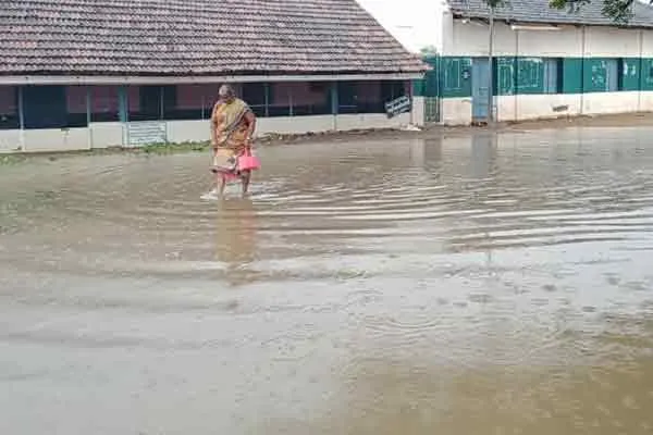 Stagnant rain water ..! People demand district and panchayat administration to take action ..!