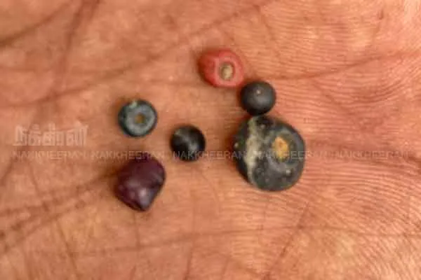 Archaeological objects dumped on the surface of the excavation site at Porpanaikottai ..!