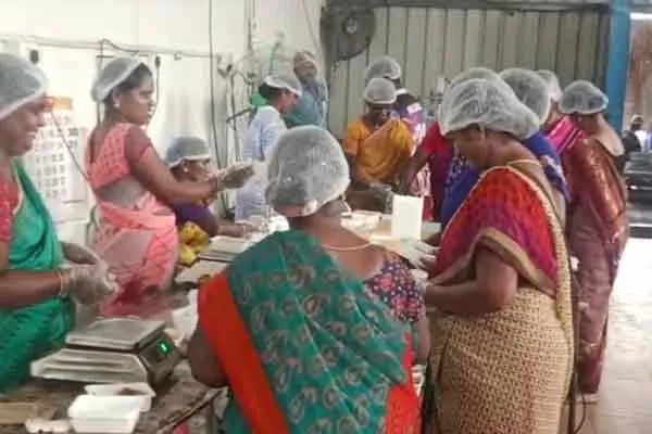 Diwali Sweets Making Mistake in Aawin; The contractor is stuck!