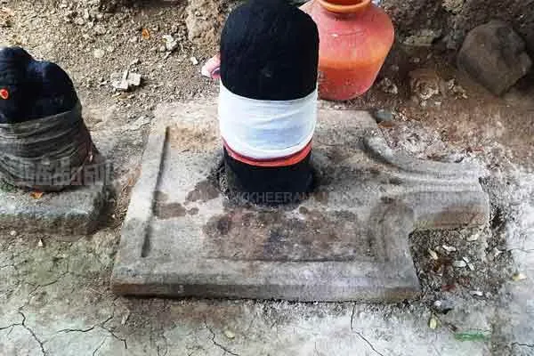 Discover the gallows lingam with Mahavira sculpture included!