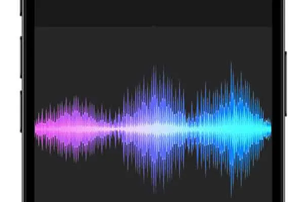 Tasmac Bar owners audio leak 