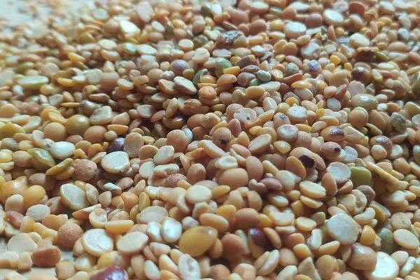 Field inspection found that the ration shop was supplying substandard pulses