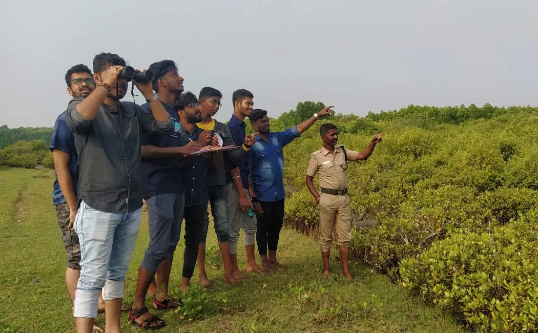 Bird survey mission in Pichavaram mangrove forest