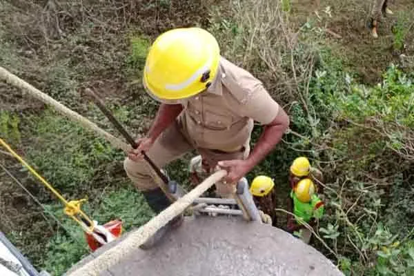 fireman rescue dog and cubs from paalaru river near chengalpattu