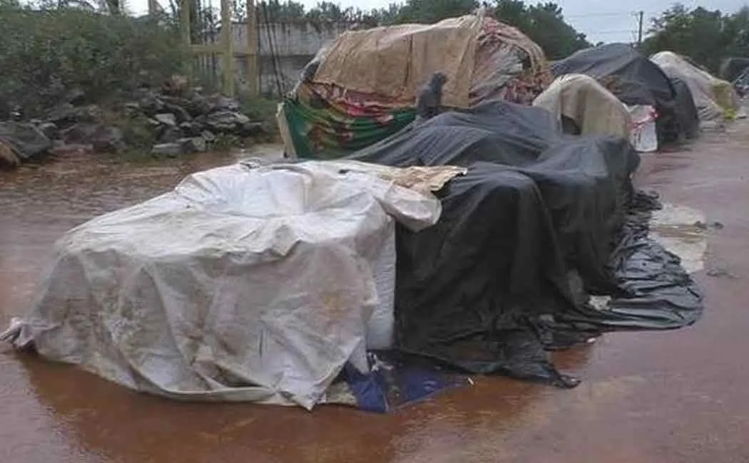 Rain-soaked paddy bundles; High Court orders government to take action ..!
