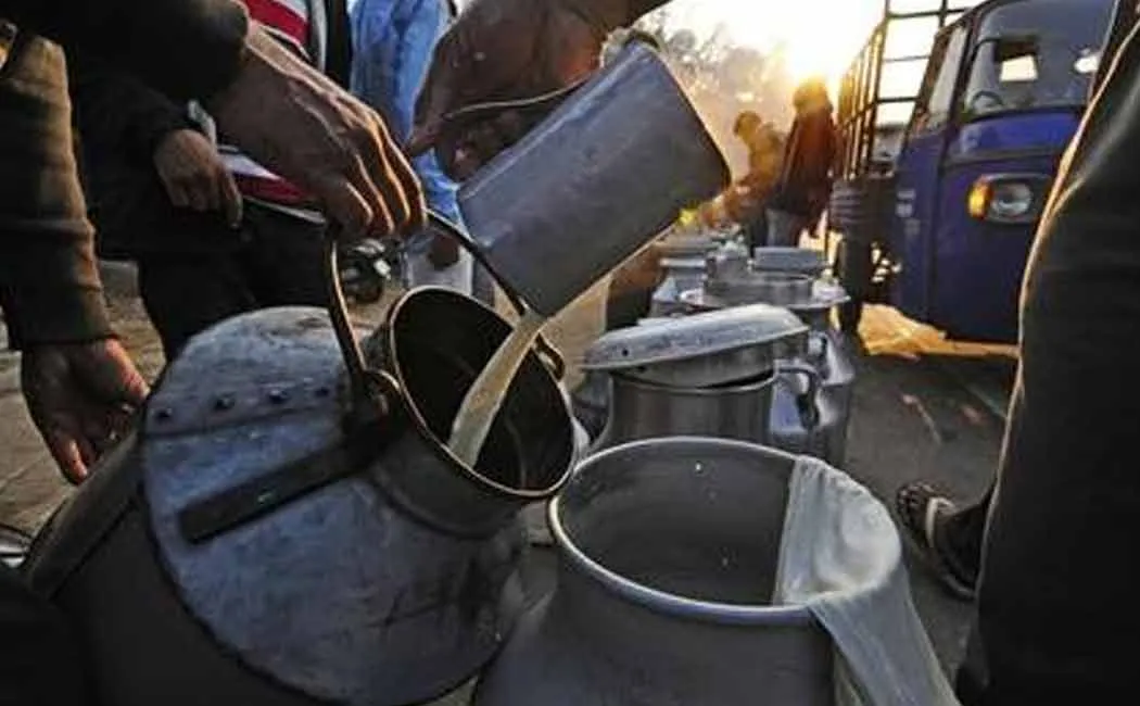Daily milk purchase in Salem Avin increases by 15 thousand liters!