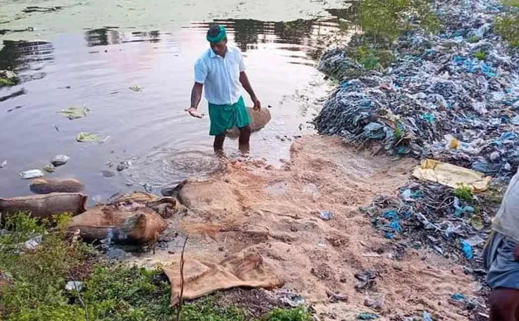 Bundle of rice dumped in the sewer pond!