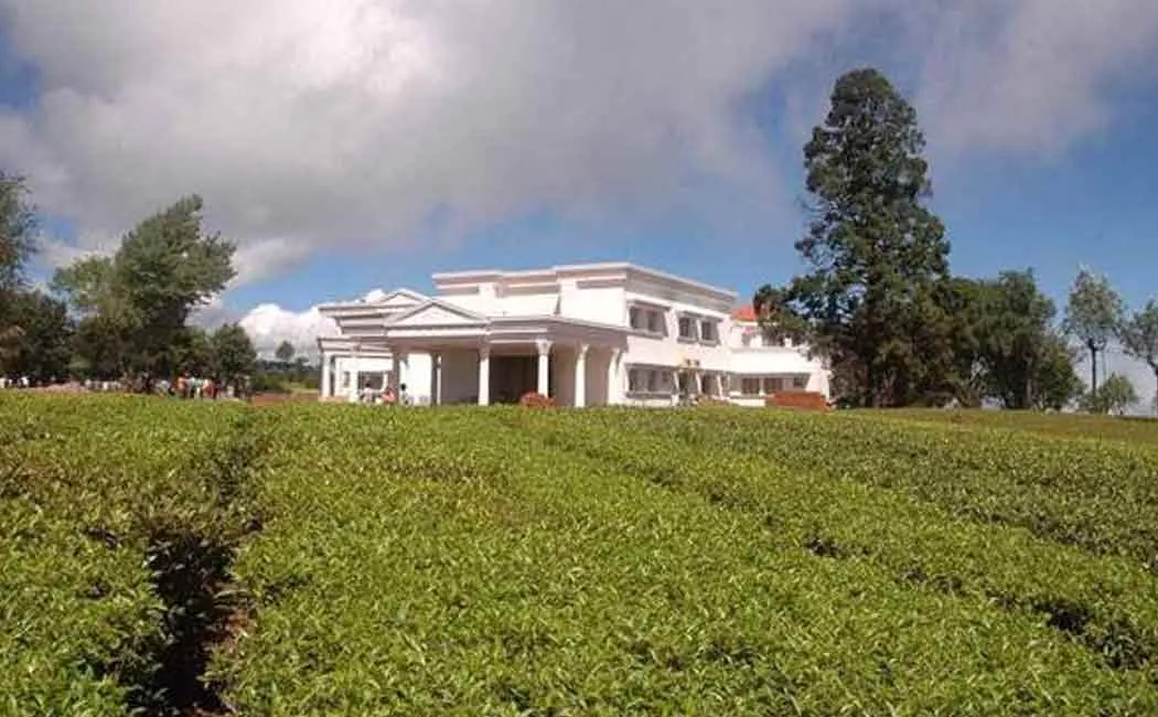 Kodanadu murder, robbery case; Five people are under investigation!