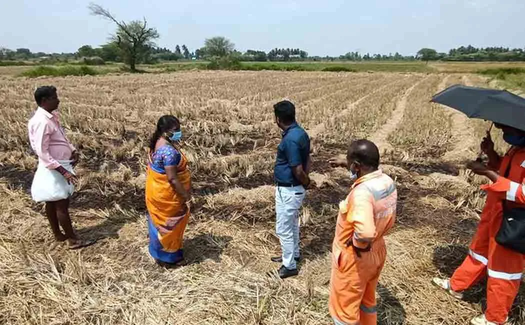 ONGC Damage to agricultural land due to broken pipe!