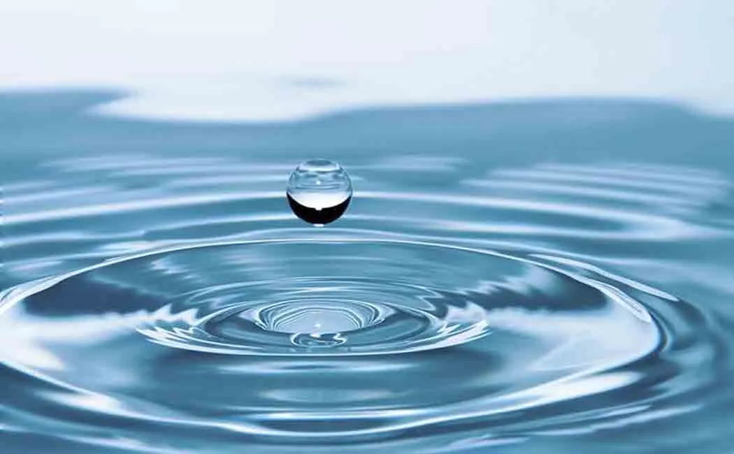Nursing college students celebrate Water Day differently!