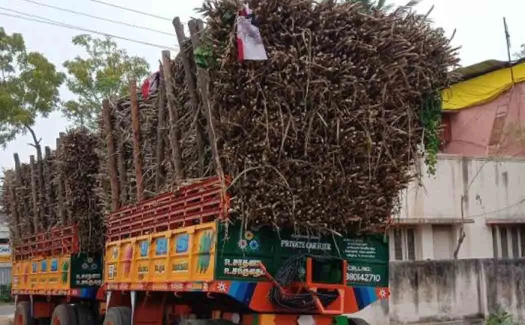 People struggle by capturing a lorry loaded with sugarcane!