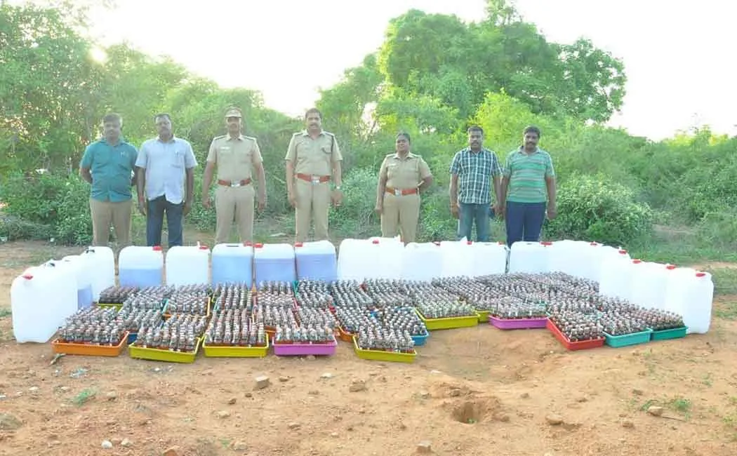 illegal liquor production 