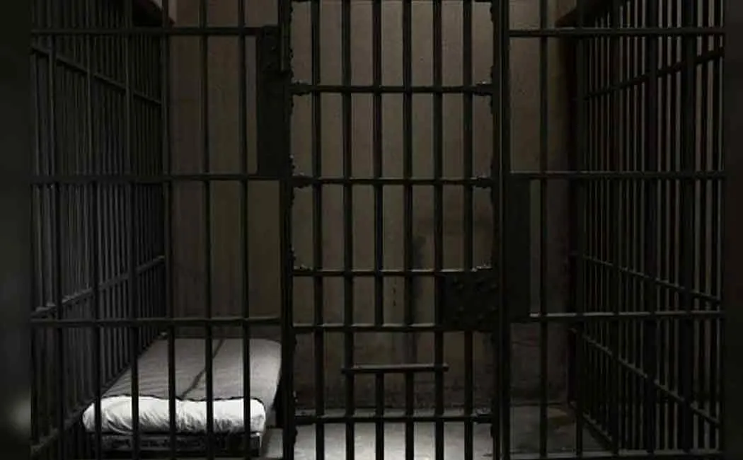 Dismissed from government service, jailed for 77 days ... Bail by young woman source ...!