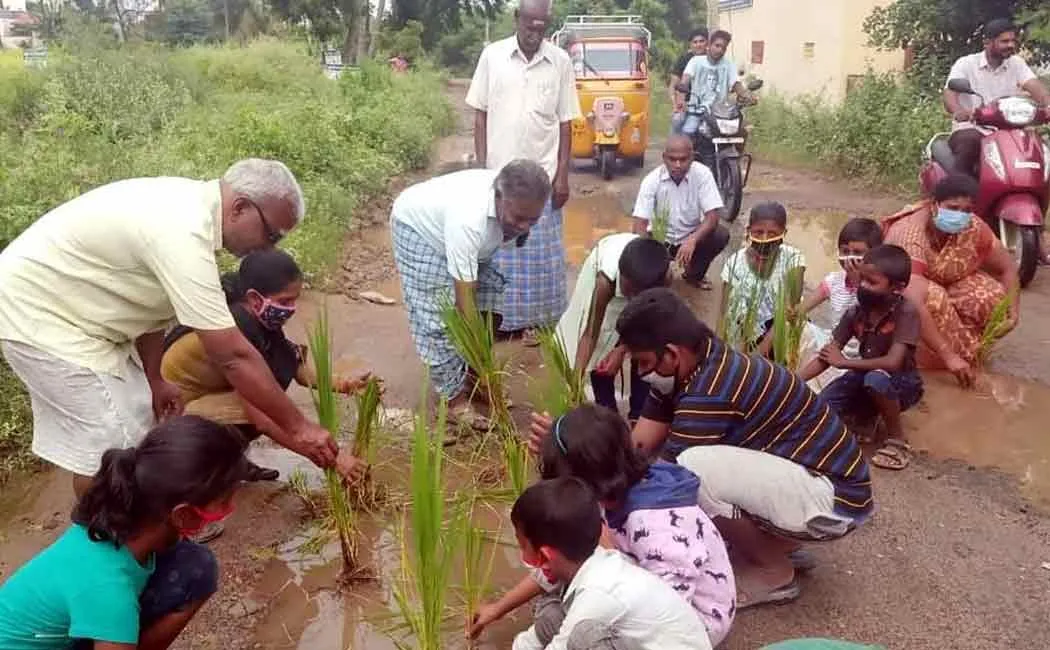People who seedlings on the road ...!