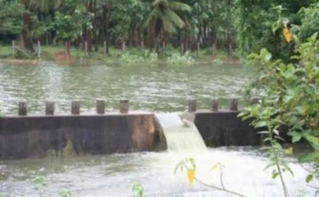 Two children passes away while bathing in river  