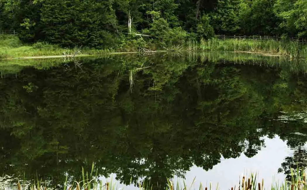 Two kids passed away in pond 