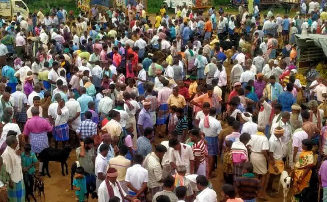 ayyalur goat market diwali 