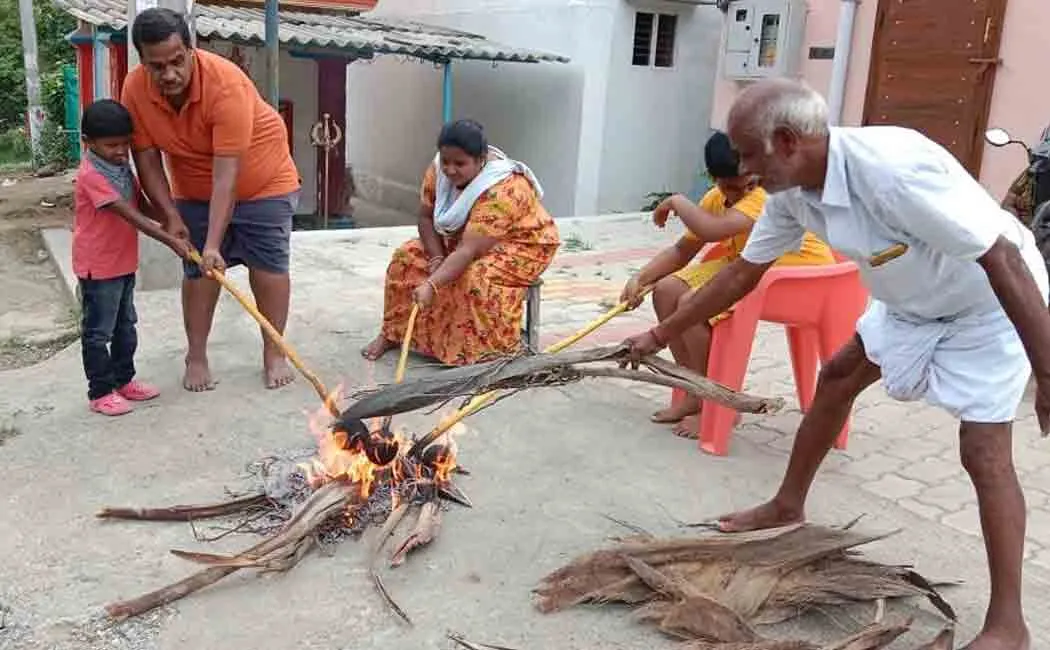 Coconut roasting 'Thalayaadi' celebration! Kongu Mandal Special!