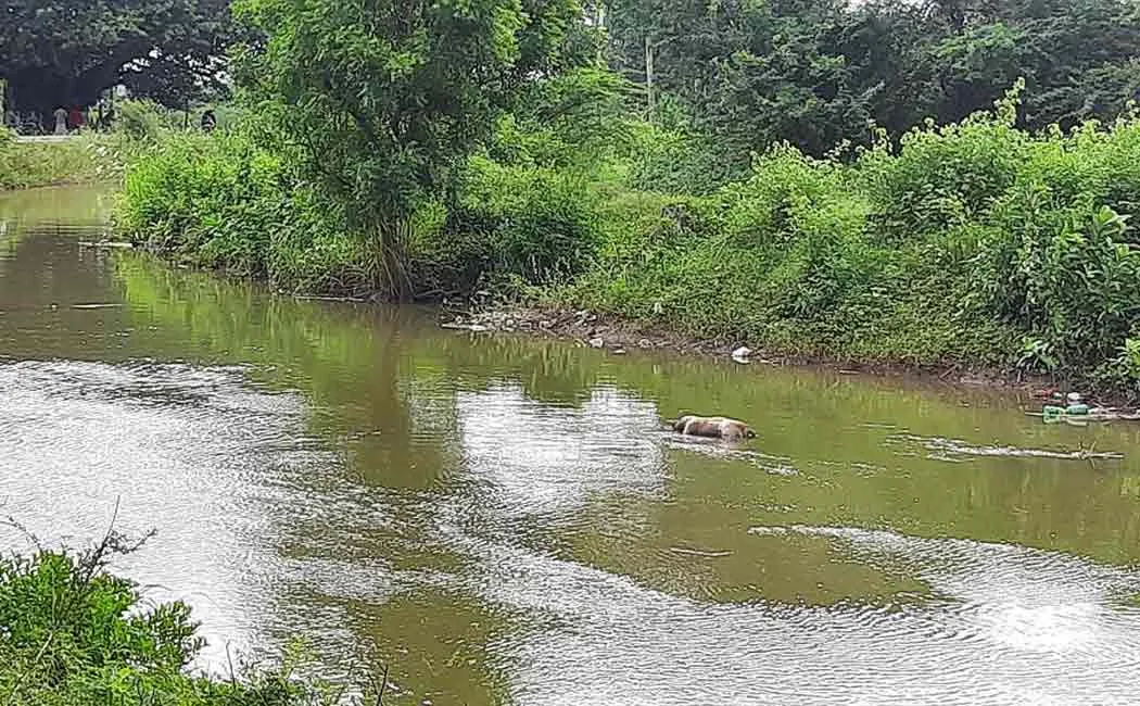 chidambaram Irrigation drain