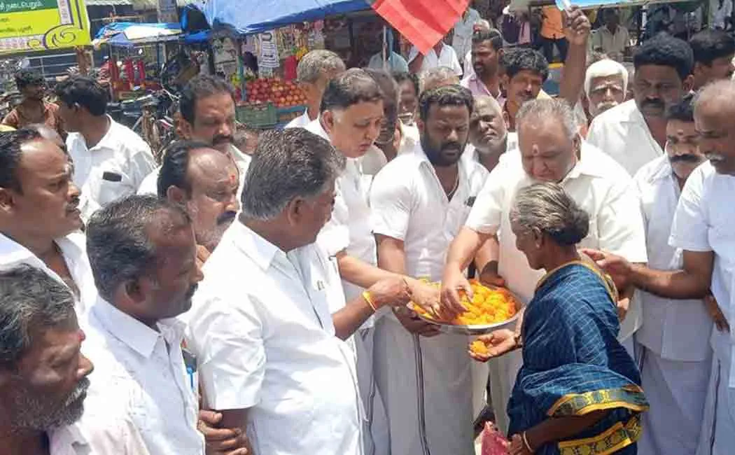 Edappadi supporters celebrate  