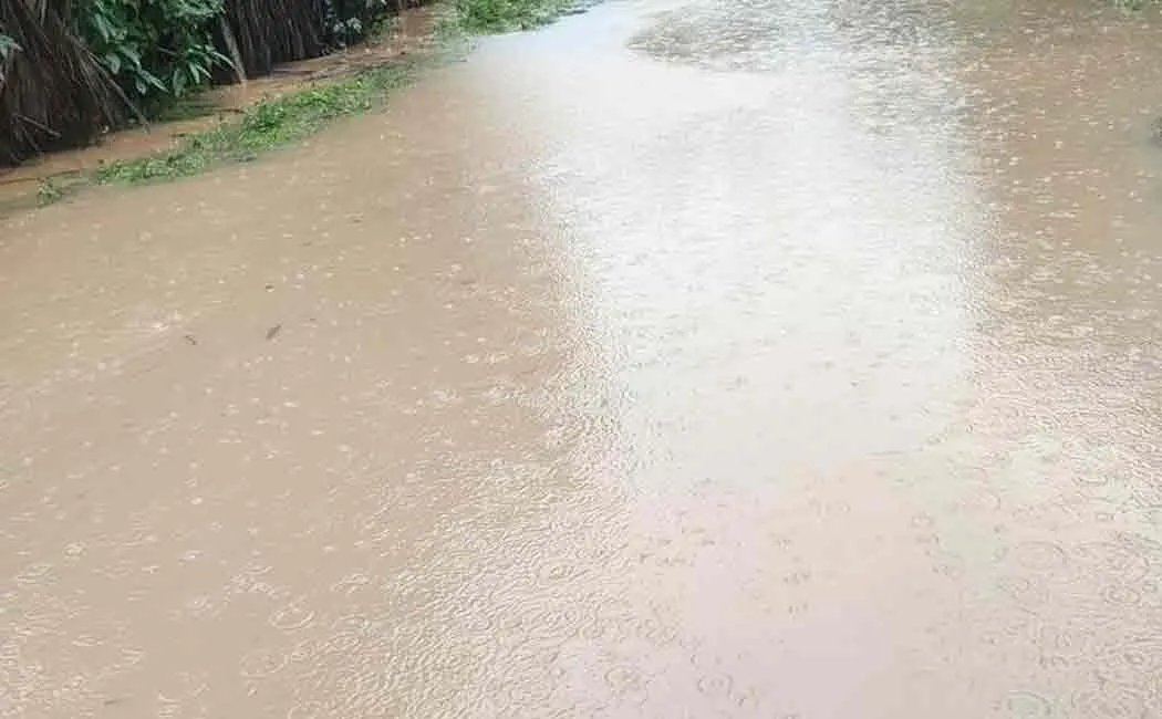 Pudukottai, Tanjore districts with wind and rain ...
