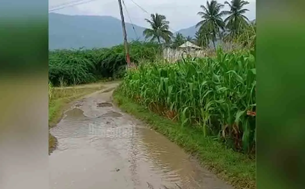 Officials who do not accept people's demands; A village without a road!