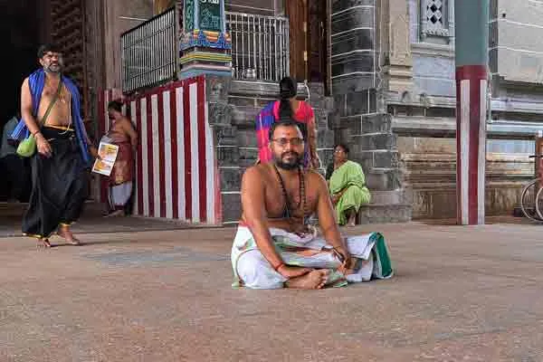 Nataraja Temple; Is there an auction during Dikshitar Puja?