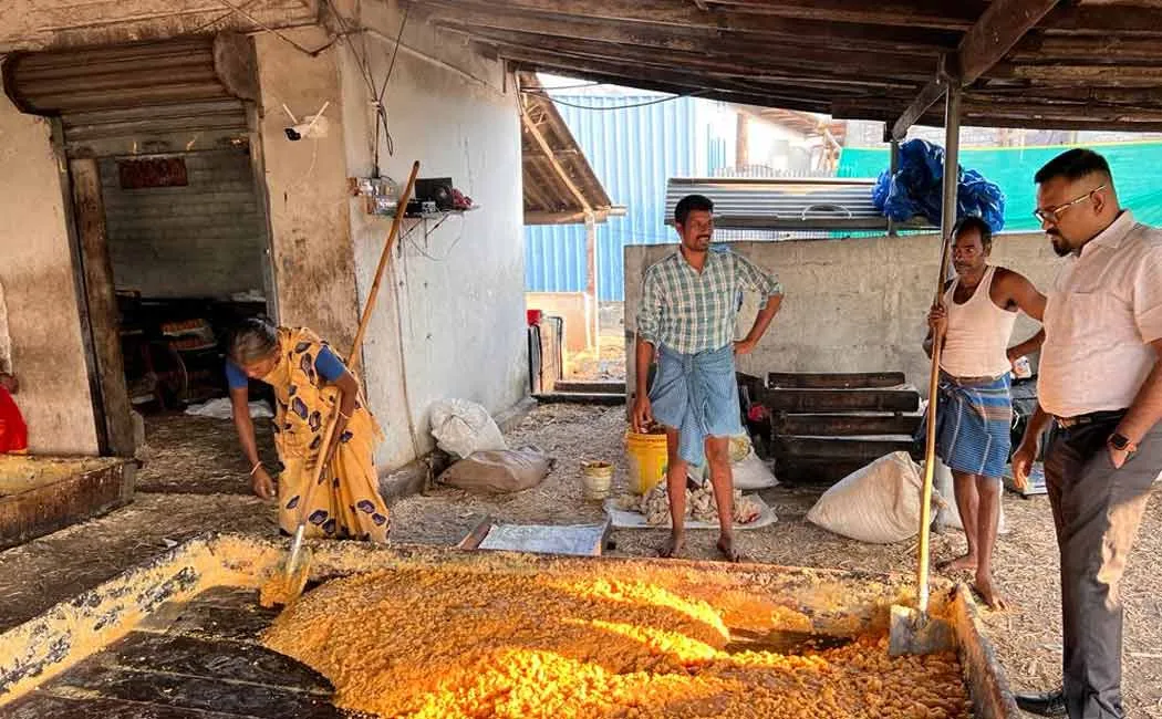 Confiscation of 36 tons of sugar stored for mixing in jaggery!