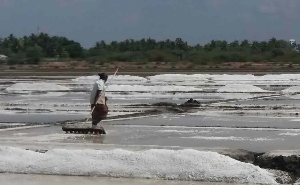 Salt producers affected due to rains in Marakkanam area ...