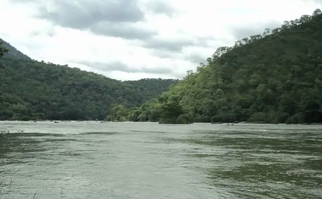 Person passes away in aanai puli cuvery river 