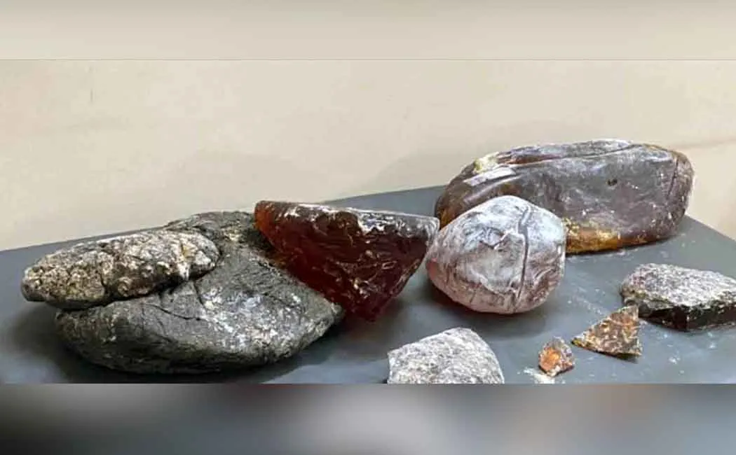  Amber grease worth Rs. 32 crore seized! Former ADMK 4 people including the councilor were arrested