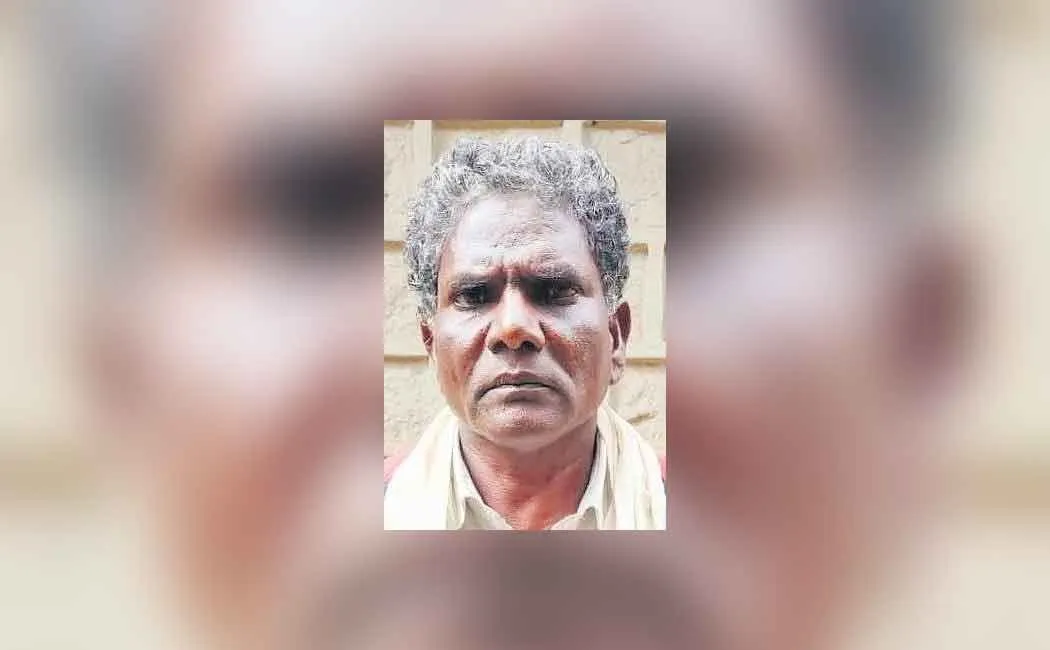 Two tiger passes away case police arrested one 