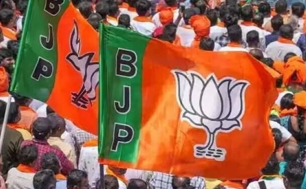 Tamilnadu BJP Leader change 
