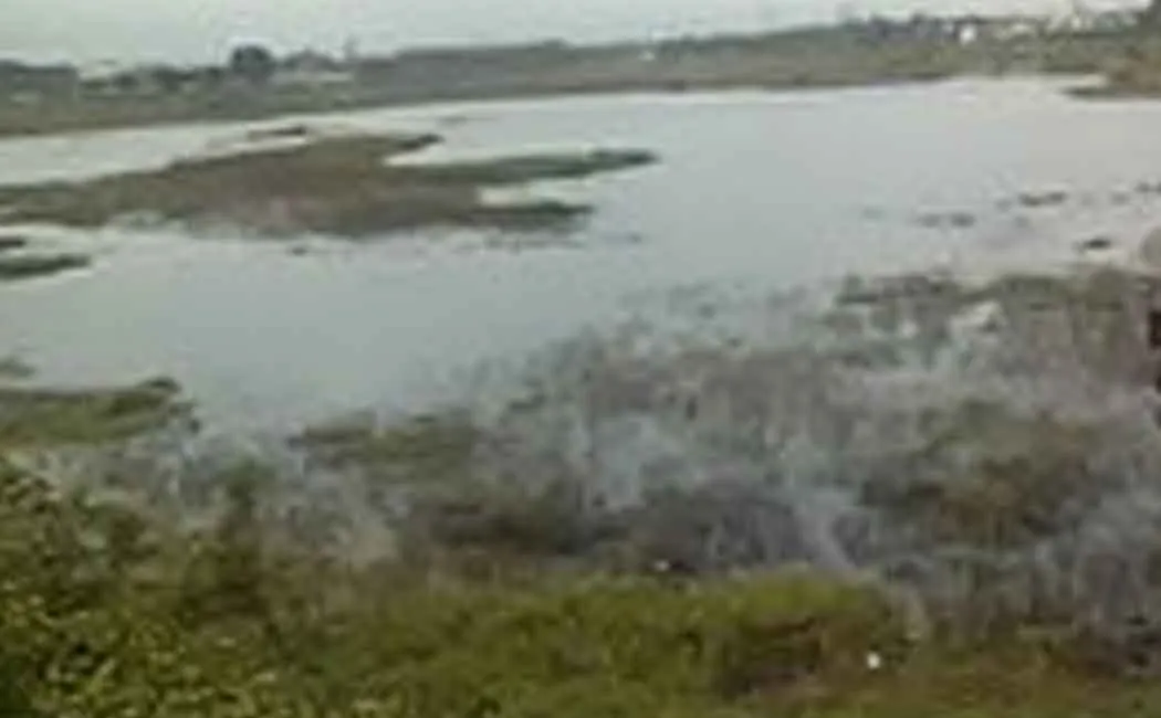 Chemical waste mixed in the public works lake!