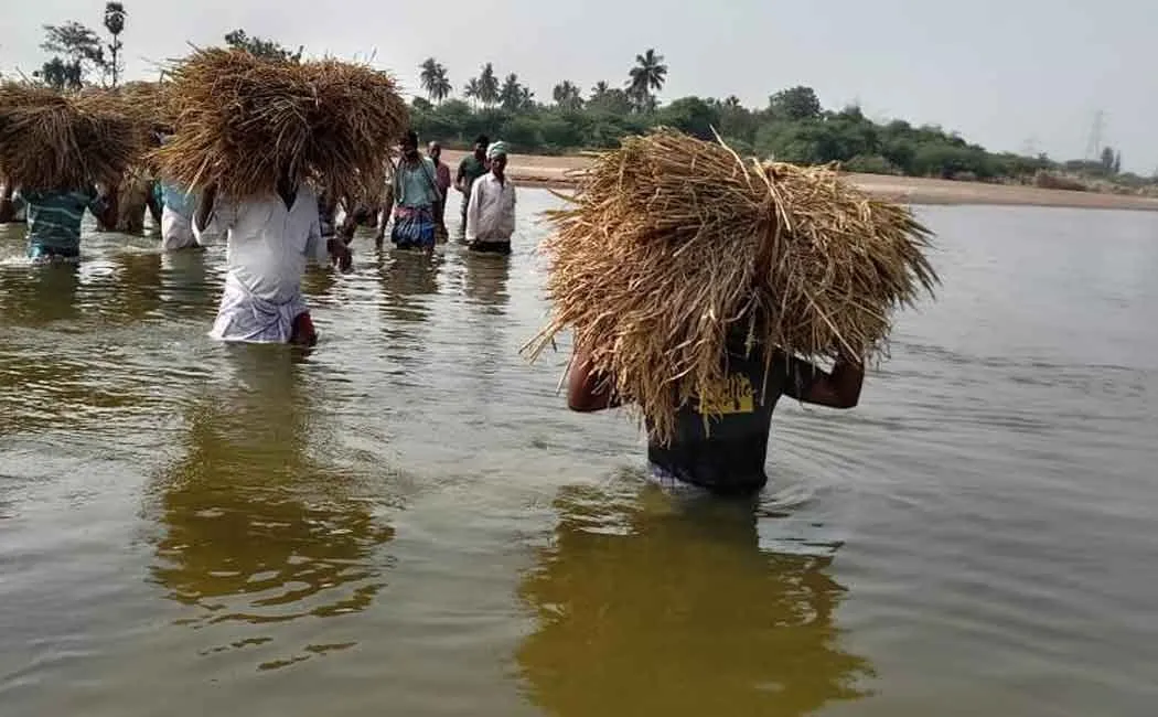 cuddalore district, virudhachalam farmers in trouble 