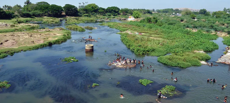 thambirabarani