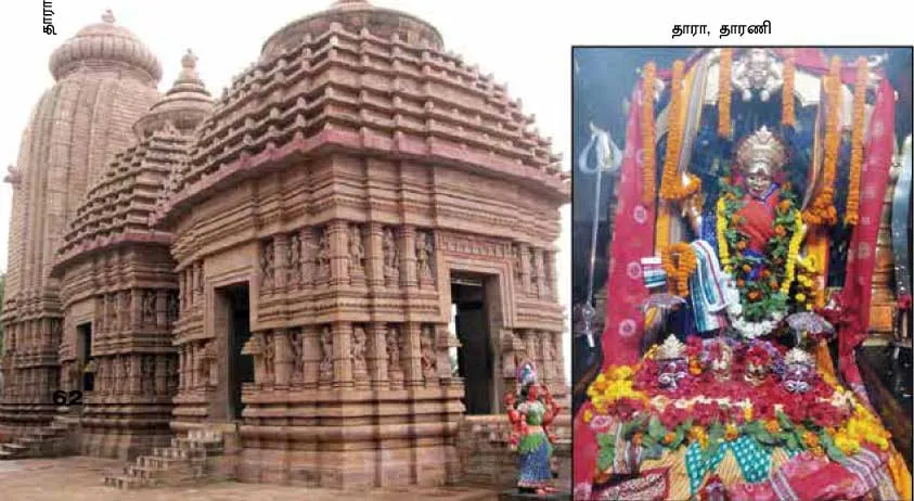 tharani