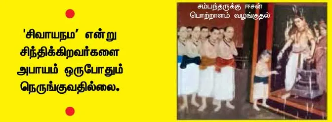 tt