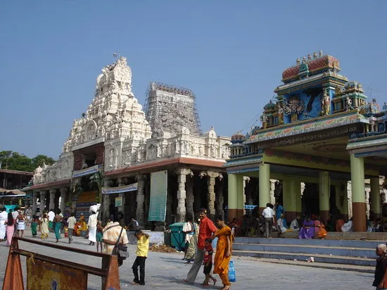  The disappearance of the Thiruchendur peacock statue ... the case on five persons