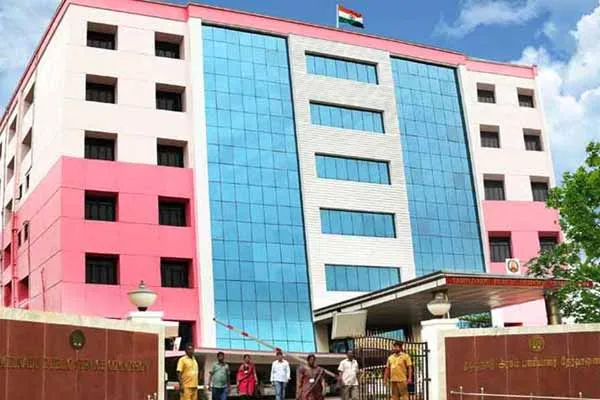 394 Candidates Selected for Govt Jobs says tnpsc