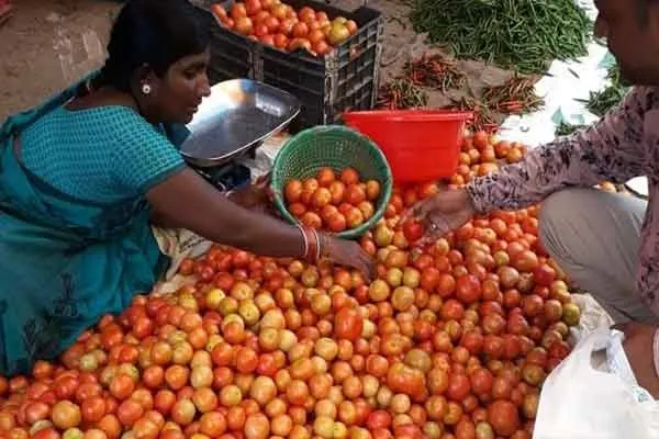 People heaved a sigh of relief; The price of tomatoes has gone down
