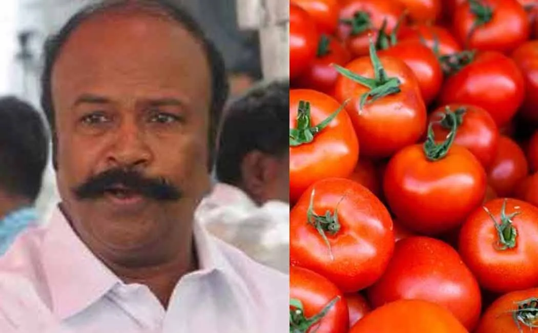 tn govt sale tomato on cehnnai ration shops