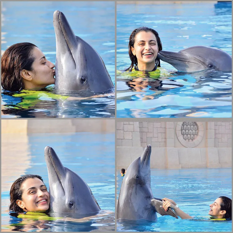 trisha