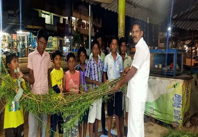 seemai karuvelam tree  Students destroying  pudukkottai district 