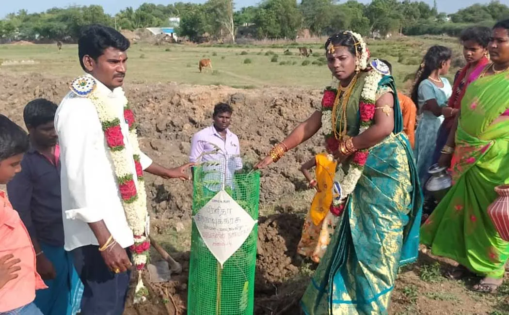 Newly married couples Planted saplings