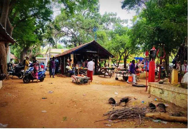 pudukkottai district youth trees peoples 